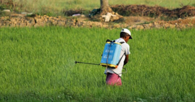 India Issues Draft Rules for Amendment to Its Insecticides Rules, 1971