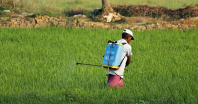 Government Achieves Milestone of 10,000 Farmer Producer Organisations Registered Across the Country