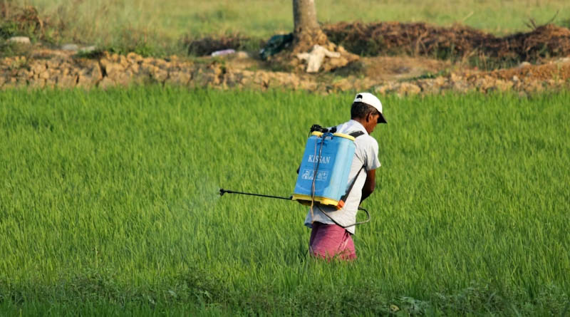 India Issues Draft Rules for Amendment to Its Insecticides Rules, 1971