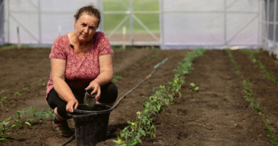 FAO report: Agriculture Remains A Lifeline For Rural Families In War-affected Ukraine