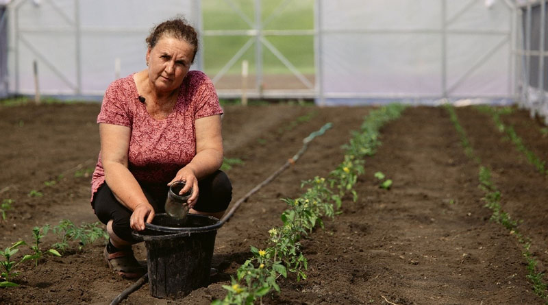 FAO report: Agriculture Remains A Lifeline For Rural Families In War-affected Ukraine