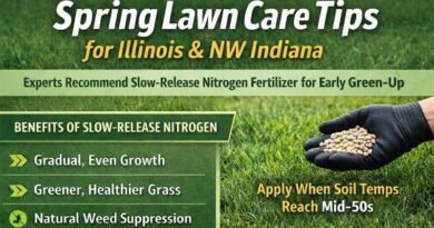 Illinois and Northwest Indiana Lawns Begin Spring Transition as Experts Recommend Slow-Release Nitrogen Fertilizer Illinois and Northwest Indiana Lawns Begin Spring Transition as Experts Recommend Slow-Release Nitrogen Fertilizer