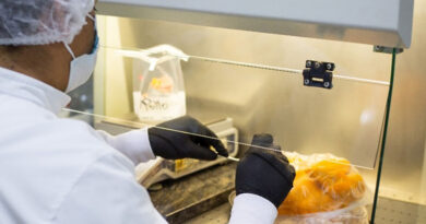 ACT / Colombia And The Plurinational State Of Bolivia Strengthen Antimicrobial Resistance Surveillance