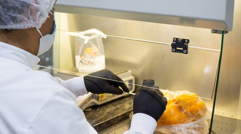 ACT / Colombia And The Plurinational State Of Bolivia Strengthen Antimicrobial Resistance Surveillance