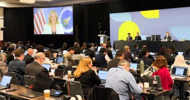 CCRVDF28 / Veterinary Drugs Discussions Under Way In Minneapolis