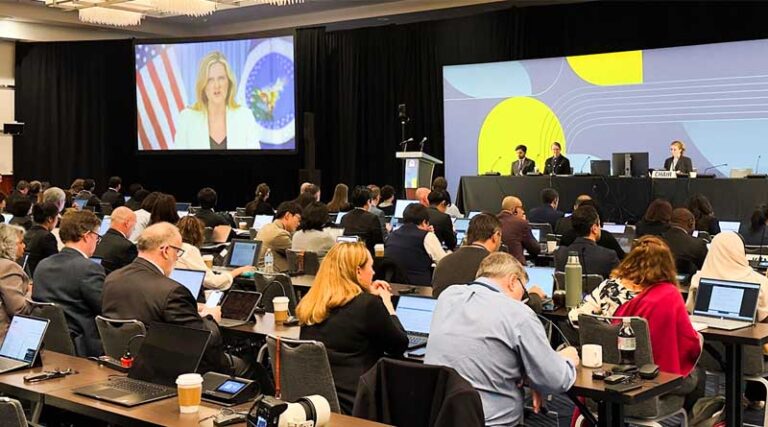 CCRVDF28 / Veterinary Drugs Discussions Under Way In Minneapolis