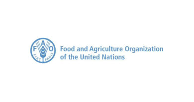 Green Climate Fund approves $50 million for FAO-supported adaptation project in Jamaica Green Climate Fund approves $50 million for FAO-supported adaptation project in Jamaica