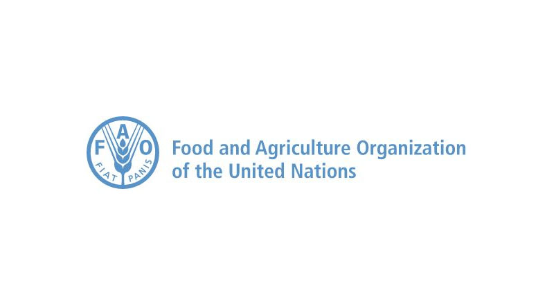 Green Climate Fund approves $50 million for FAO-supported adaptation project in Jamaica