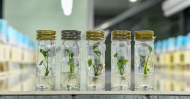 The Crop Trust Starts 2026 with New Leadership Perspectives