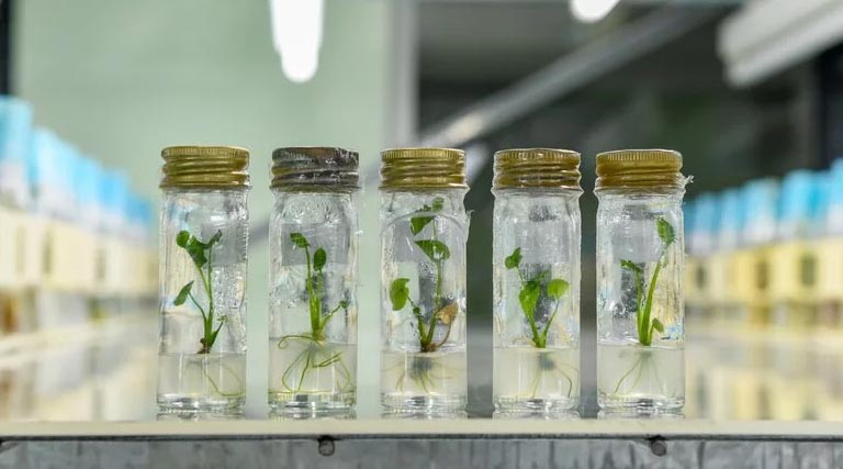 The Crop Trust Starts 2026 with New Leadership Perspectives