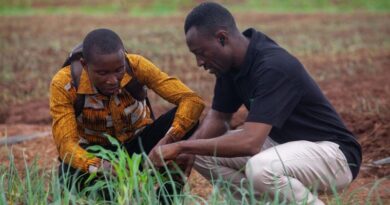 From Monitoring To Impact: How Evidence Is Driving Youth Agripreneurship