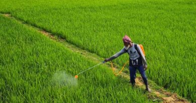 E-Commerce Boom Linked to Illegal Biopesticide Sales in India E-Commerce Boom Linked to Illegal Biopesticide Sales in India