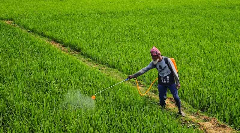 E-Commerce Boom Linked to Illegal Biopesticide Sales in India