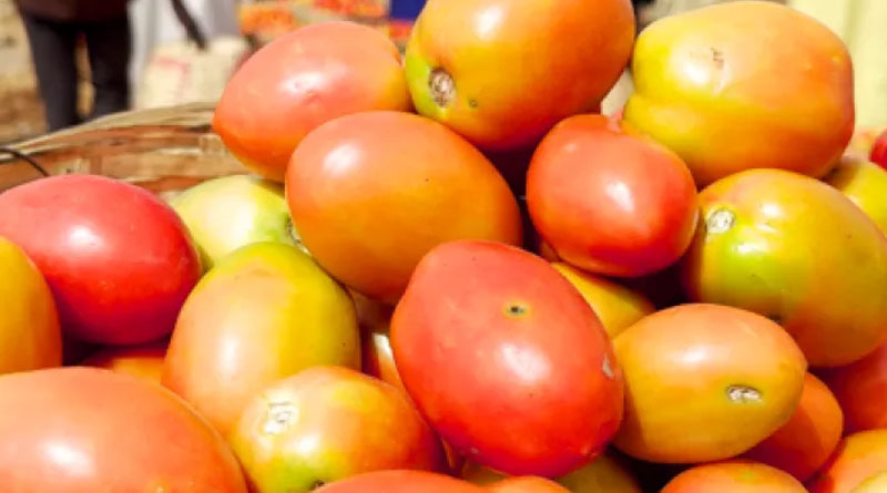 How Ai Can Help Reduce Food Loss And Waste In Nigeria’s Tomato Value Chain