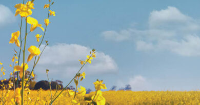 Nufarm Strengthens Strategic Collaboration To Support Long Term Growth In Biofuels Production Nufarm Strengthens Strategic Collaboration To Support Long Term Growth In Biofuels Production