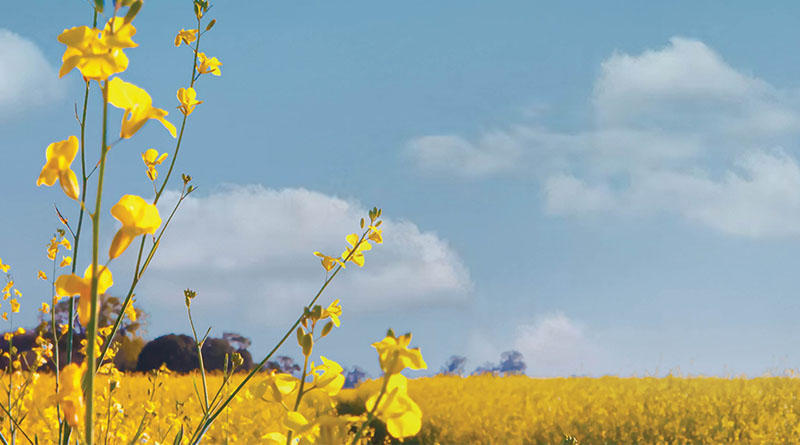 Nufarm Strengthens Strategic Collaboration To Support Long Term Growth In Biofuels Production