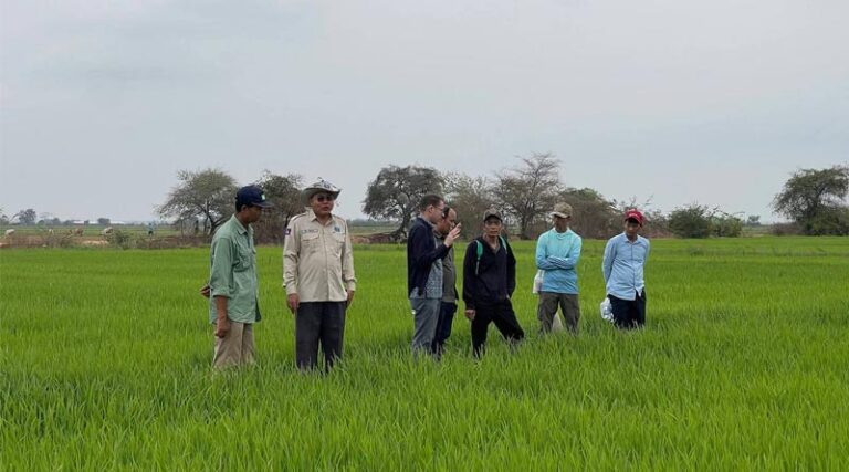 Cambodia launches Collaboration with IRRI, GGGI and GDA to Support Methane Mitigation In The Rice Sector