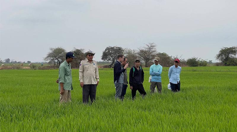 Cambodia launches Collaboration with IRRI, GGGI and GDA to Support Methane Mitigation In The Rice Sector