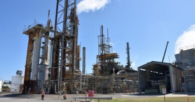 Russia Halts Ammonium Nitrate Exports, Raising Concerns for India and Brazil Agriculture