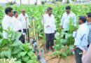 Elitecon International Strengthens CSR, with ‘Empowering Farmers through Smart & Sustainable Agriculture Initiative with ICAR-NIRCA Collaboration