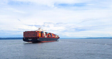 Brazil Secures Alternative Export Route via Turkey to Safeguard Agricultural Trade Amid Strait of Hormuz Disruptions