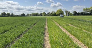 Precision Potassium Timing For Maximum Yield Impact