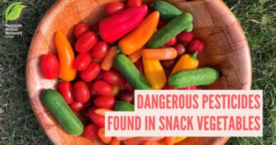 Dangerous Pesticides Found In Snack Vegetables