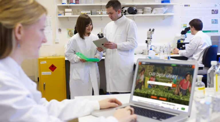 Evidence, Partnerships, And Impact