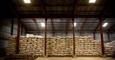 FAO Chief Economist Warns Of Severe Global Food Security Risks From Disruption To Strait Of Hormuz Trade Corridor FAO Chief Economist Warns Of Severe Global Food Security Risks From Disruption To Strait Of Hormuz Trade Corridor