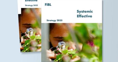 The 2035 Strategy Summarised