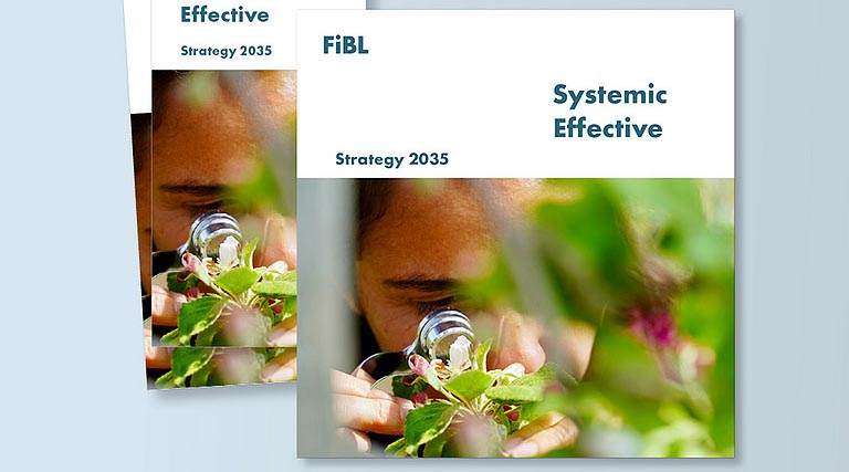 The 2035 Strategy Summarised