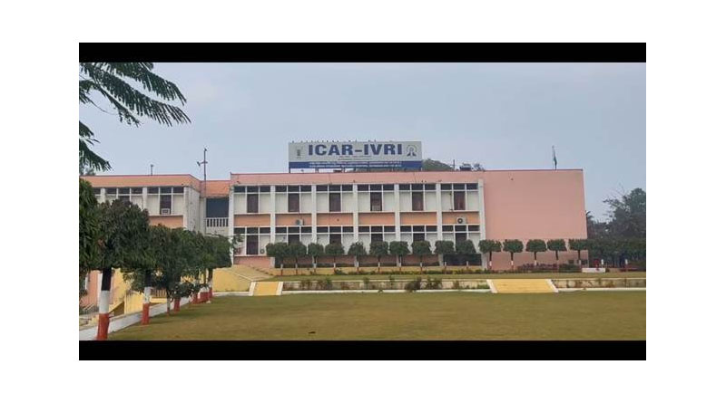 ICAR Institutions Break New Ground in Global Rankings, Marking Milestone for India’s Agricultural Higher Education
