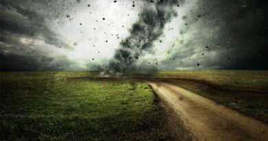 Strategies to Protect Farmers from Climate Change