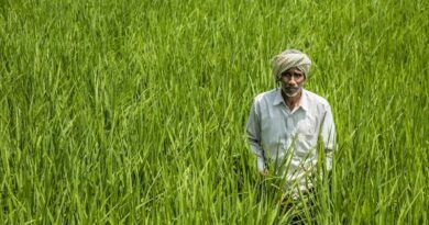Need of the Hour: Guaranteed Swaminathan MSP and Comprehensive Debt Relief to Address Farmer Distress in India