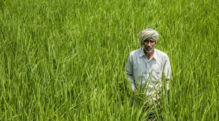 Need of the Hour: Guaranteed Swaminathan MSP and Comprehensive Debt Relief to Address Farmer Distress in India