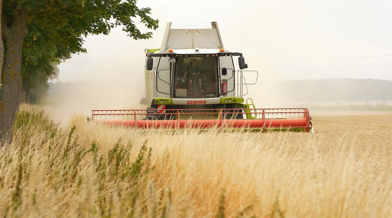 Smarter Spring Farming Gains Momentum Across China