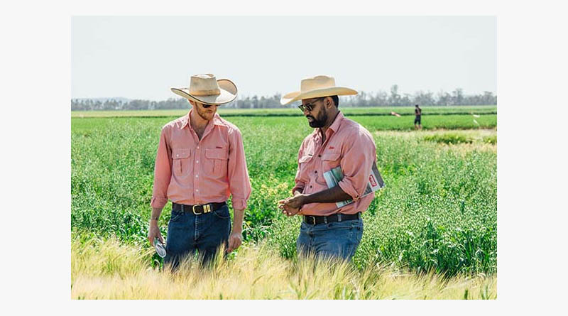 From Graduate To Agronomist: Nirav Joins Elders Miles