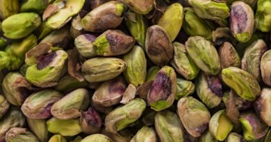 Global Pistachio Prices Surge Over 50% as Iran Supply Disruptions Tighten Market