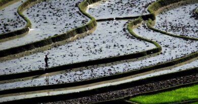 CGIAR appoints Dr. Gary C. Jahn as Head of Liaison Office for Asia and the Pacific