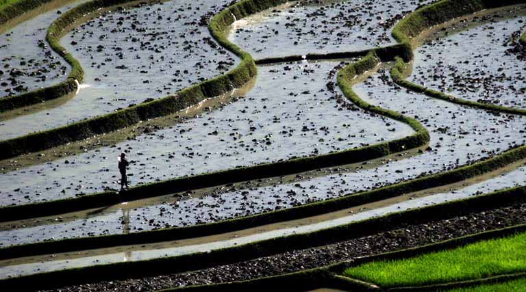 CGIAR appoints Dr. Gary C. Jahn as Head of Liaison Office for Asia and the Pacific