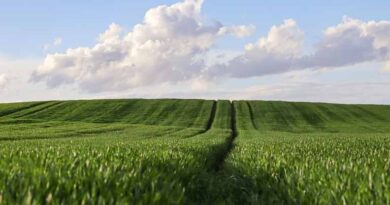 PM to address Post Budget Webinar on “Agriculture and Rural Transformation” on 6th March