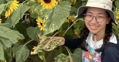 From Inner Mongolian Fields to Wild Sunflowers to the Crop Trust
