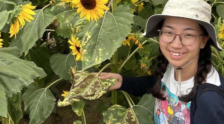 From Inner Mongolian Fields to Wild Sunflowers to the Crop Trust