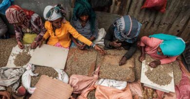 FAO Welcomes UN Resolution Instituting International Coffee Day