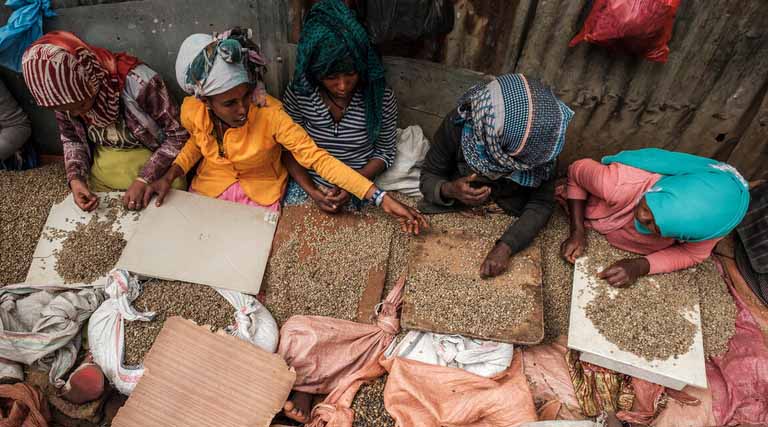 FAO Welcomes UN Resolution Instituting International Coffee Day