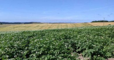 New Project To Cultivate Agricultural Knowledge