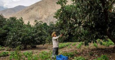 Reducing Pesticide Risks Through Public–private Collaboration And Long-term Capacity Building Reducing Pesticide Risks Through Public–private Collaboration And Long-term Capacity Building