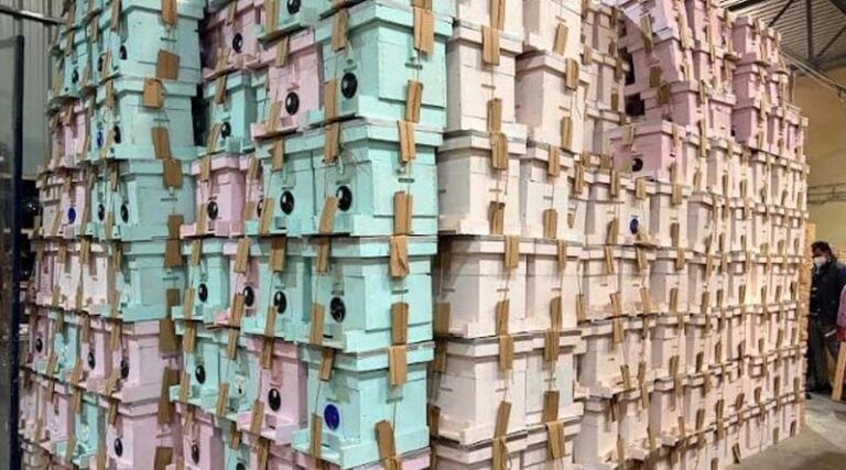 Nippon Paint India Partners with Humble Bee to Strengthen Sustainable Apiculture in India
