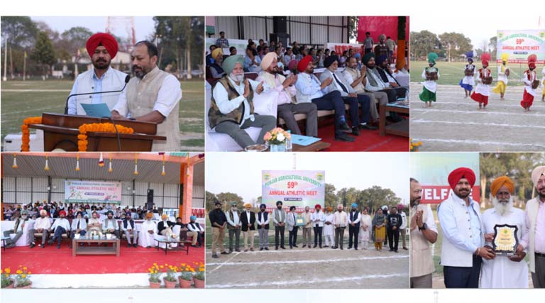 PAU Athletic Meet Concludes, Colleges Of Agri-engineering And Agriculture Lift Overall Trophies