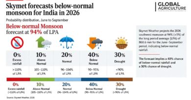 Skymet Forecasts Below-Normal Monsoon for India in 2026 at 94% of LPA